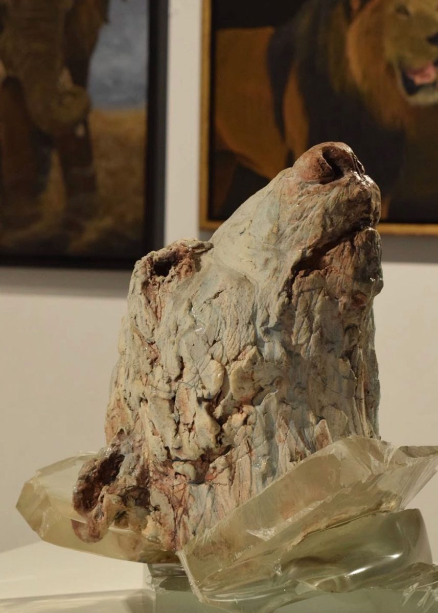 The Last Polar Bear The New Art Gallery Walsall